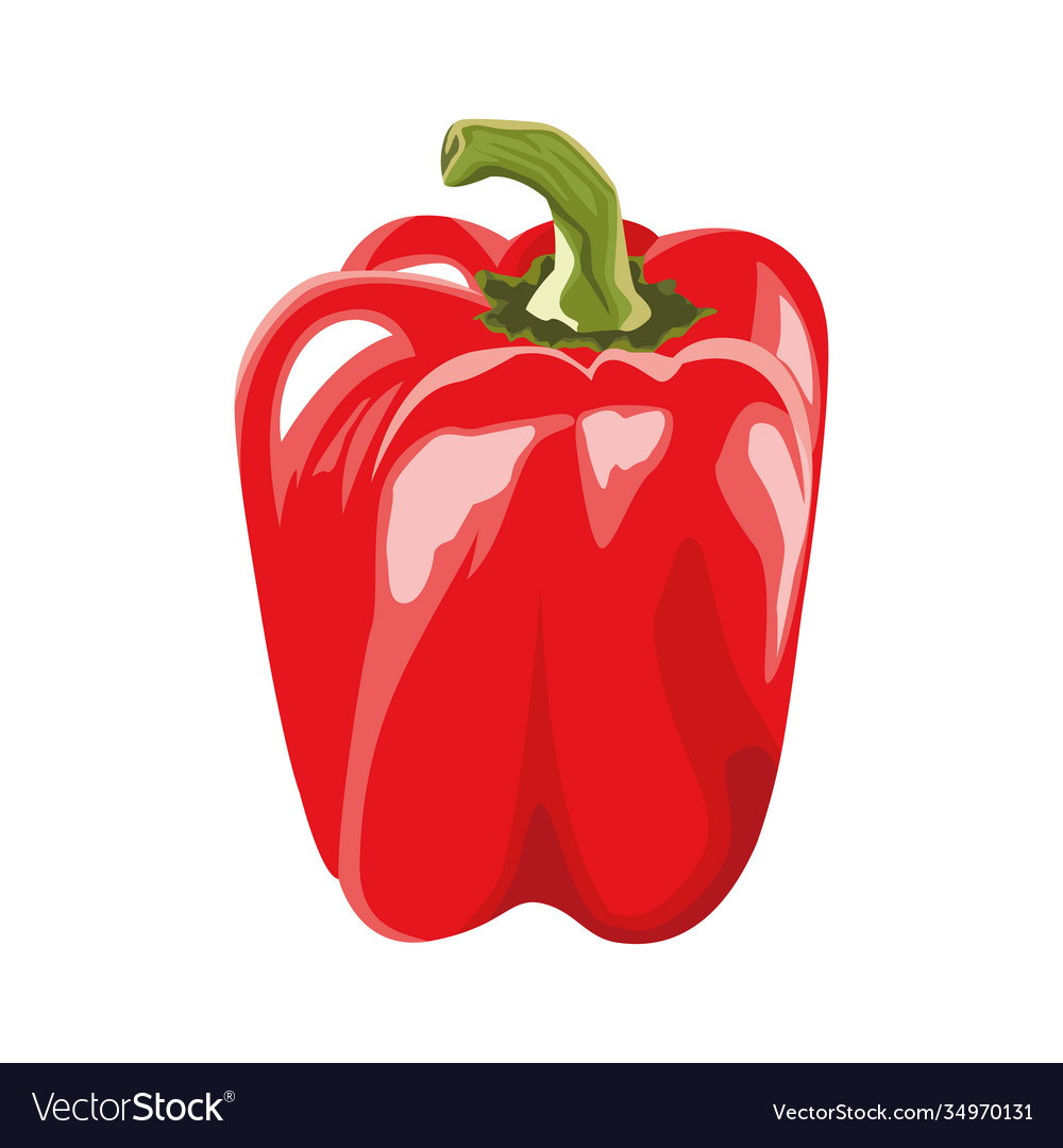 Fresh Vegetable Pepper Healthy Icon Royalty Free Vector