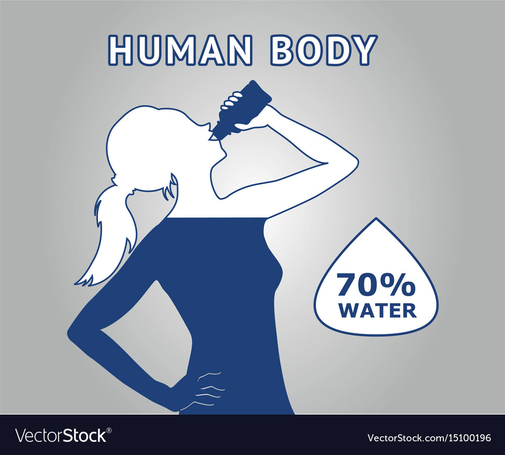 Human Body Water Royalty Free Vector Image Vectorstock