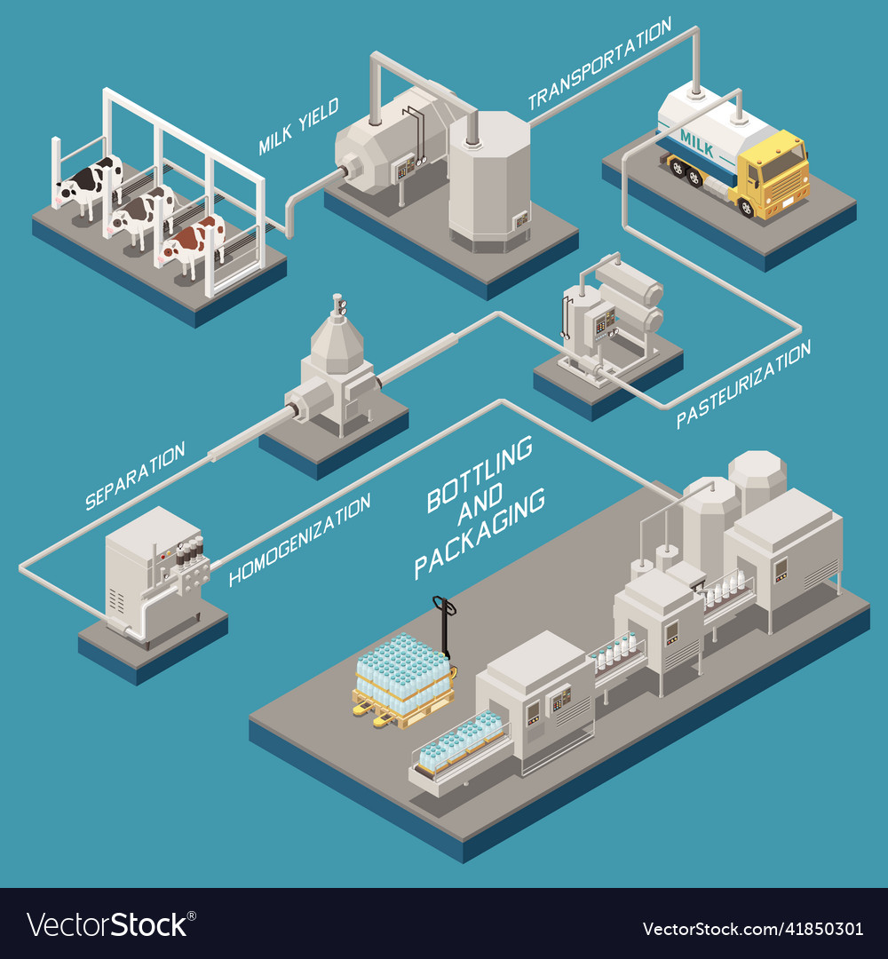 Milk Production Isometric Flowchart Royalty Free Vector