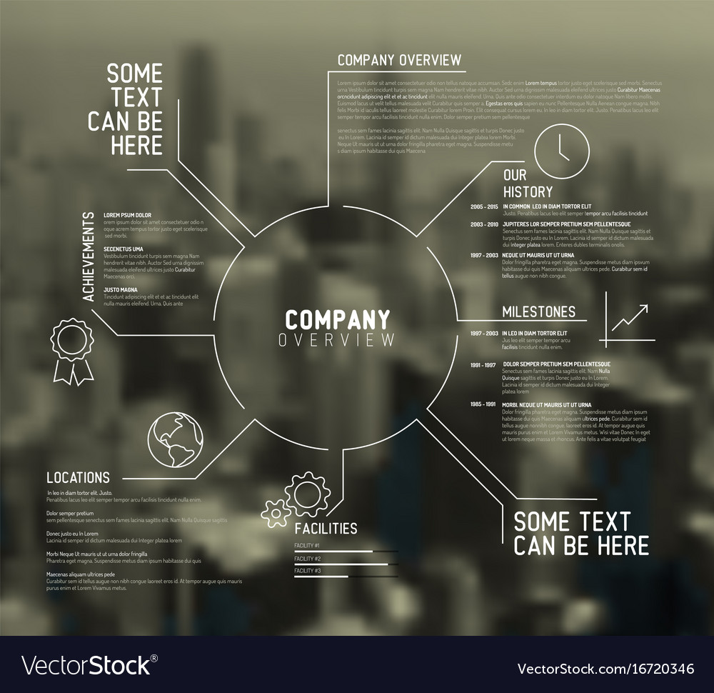 Company Infographic Overview Design Template Vector Image