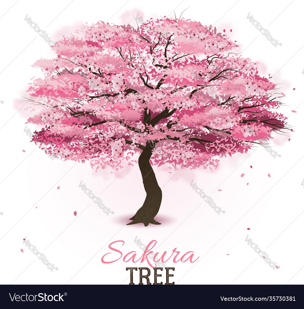 Realistic Sakura Tree Royalty Free Vector Image