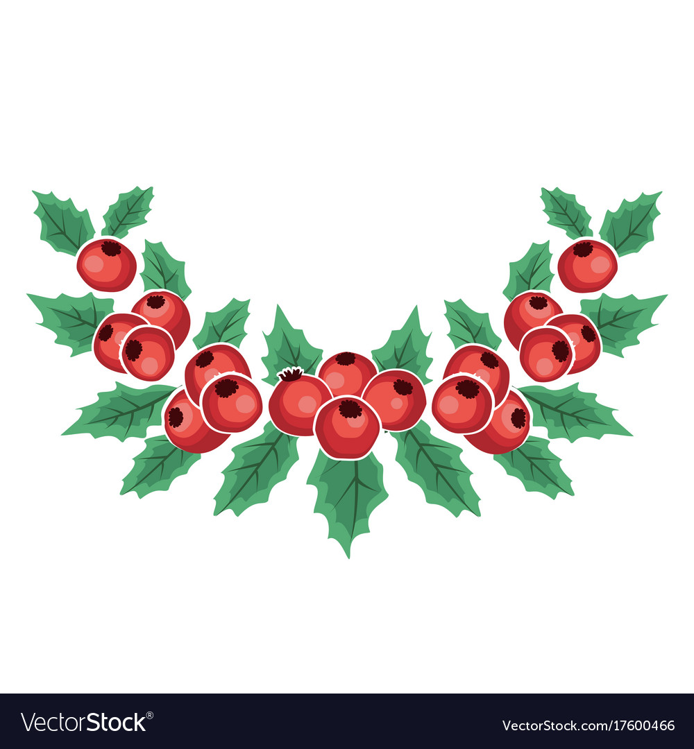 Mistletoe Branch Red Berries Royalty Free Vector Image