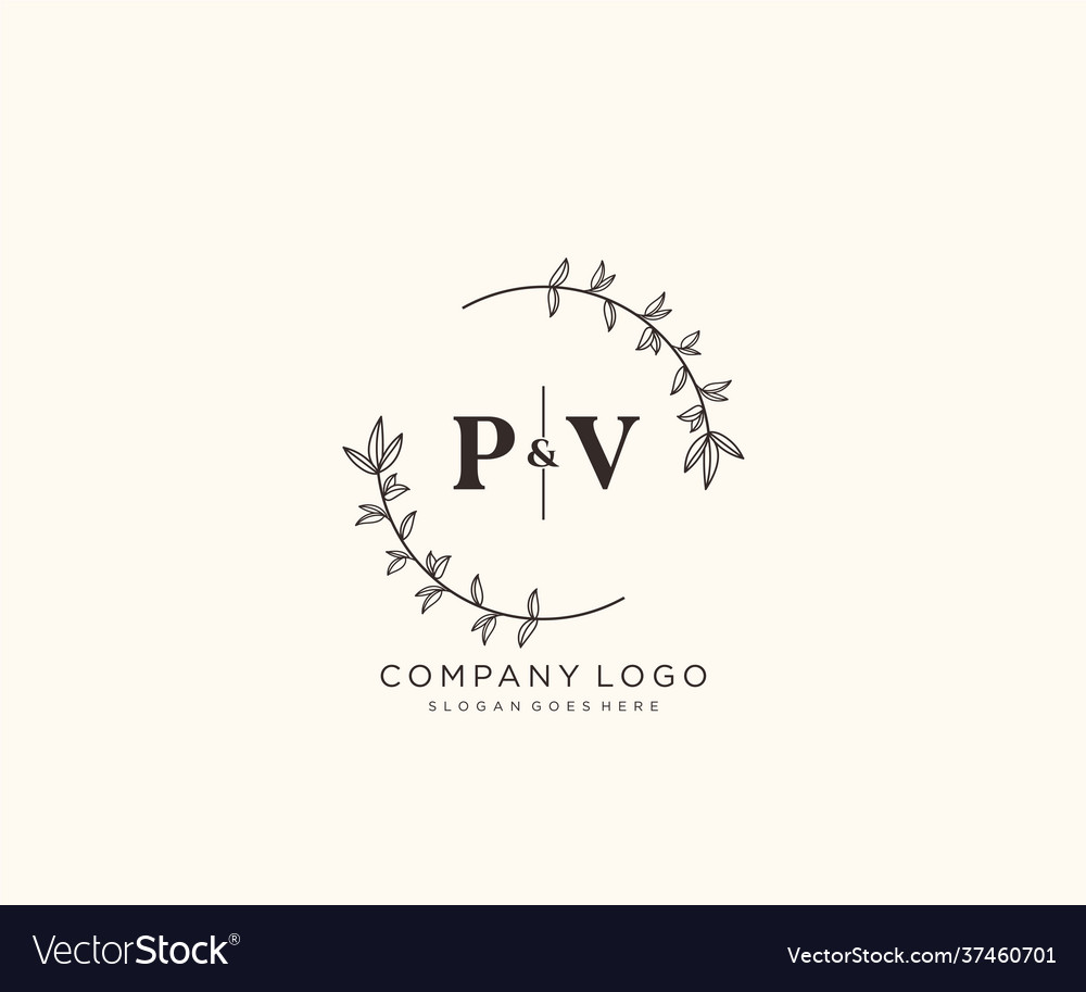 Initial Pv Letters Beautiful Floral Feminine Vector Image