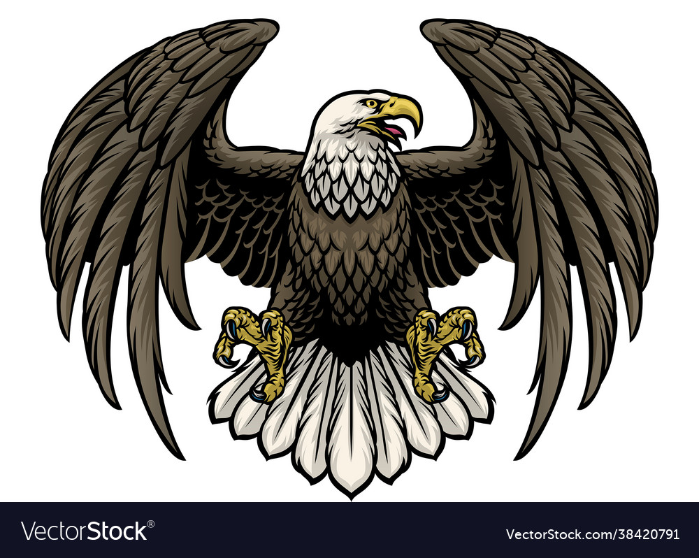 Hand Drawn Bald Eagle Royalty Free Vector Image