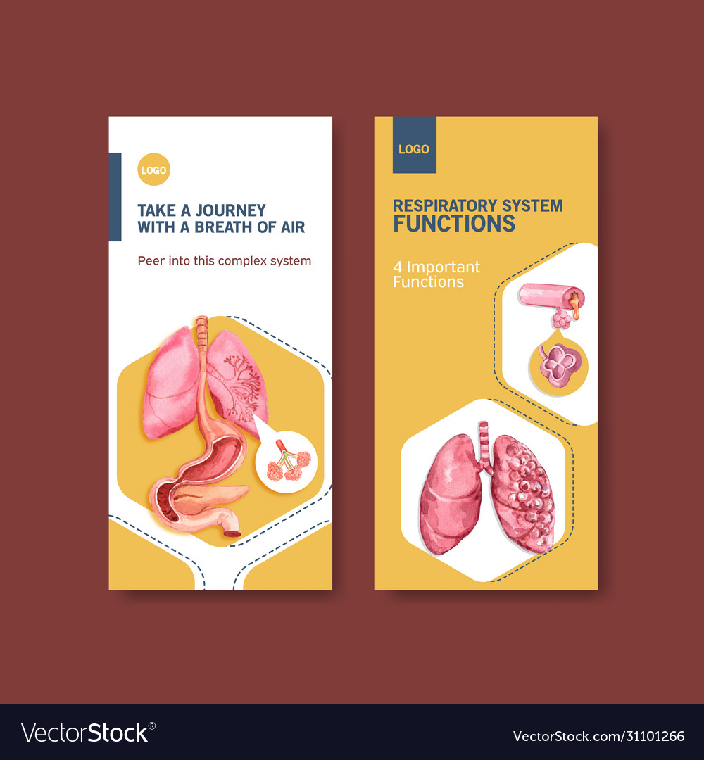 Respiratory Flyer Design With Human Anatomy Of Vector Image