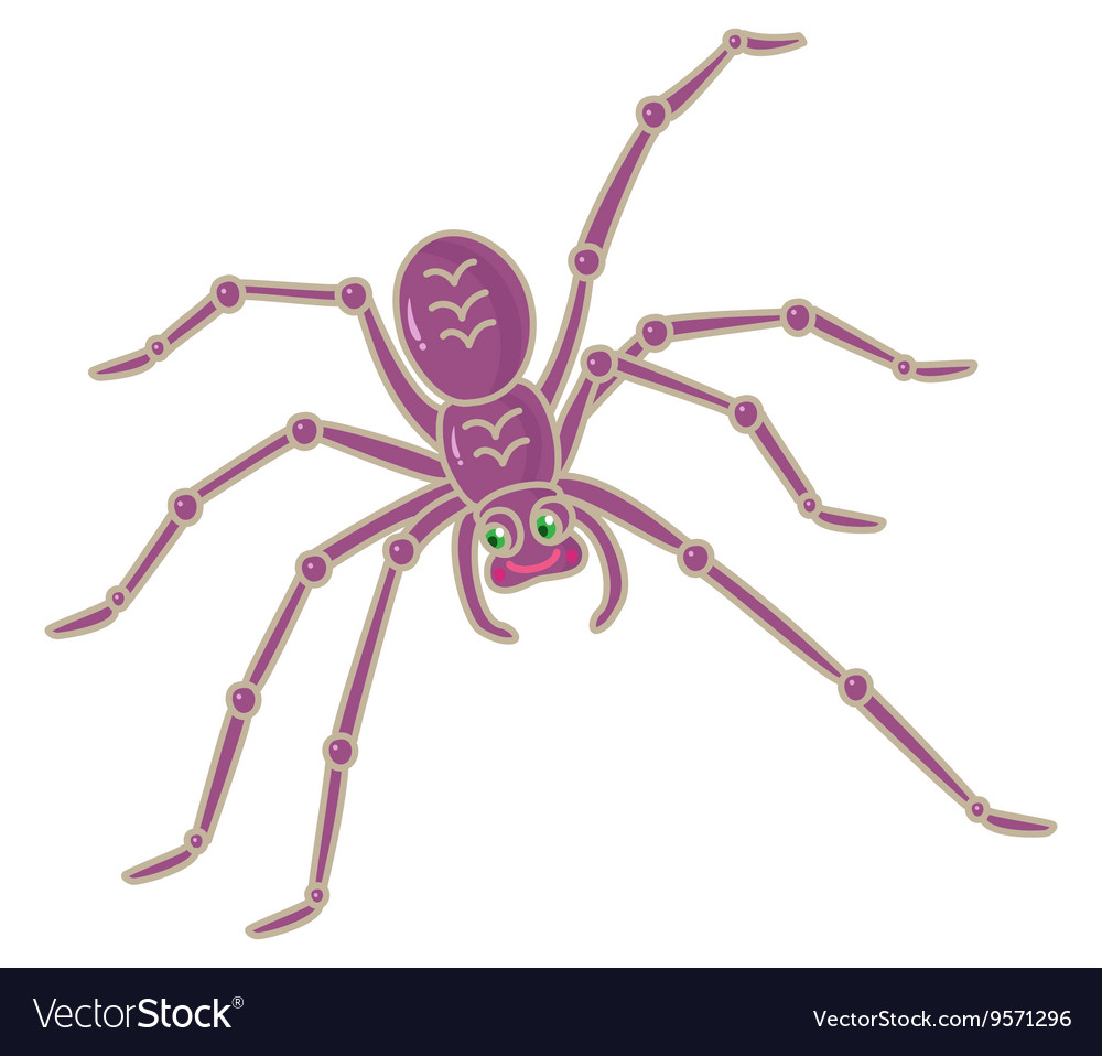 Spider Royalty Free Vector Image Vectorstock