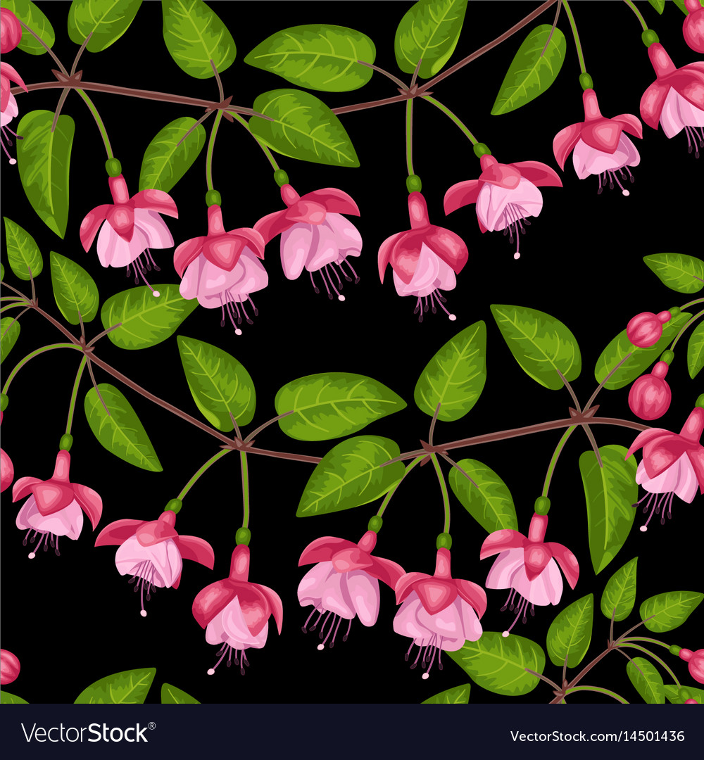 Fuchsia Seamless Pattern Royalty Free Vector Image