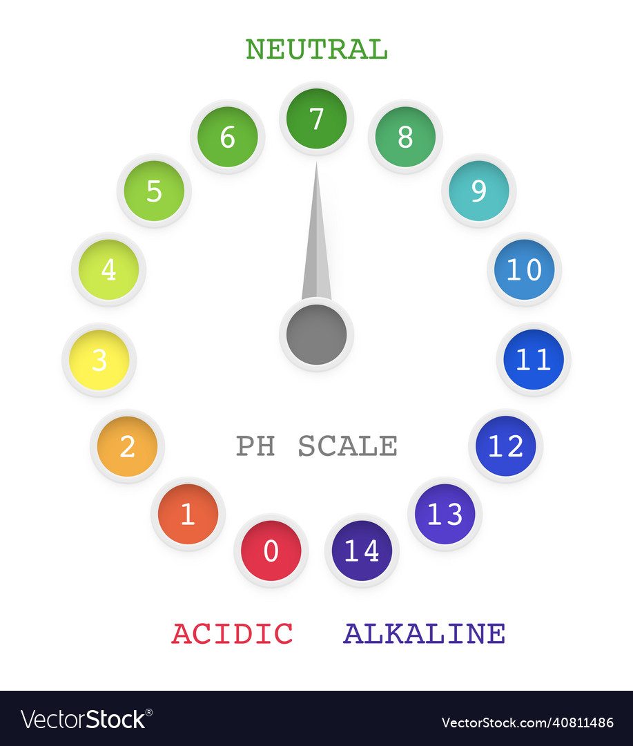 Ph Value Scale Chart For Acid Alkaline Solution Vector Image