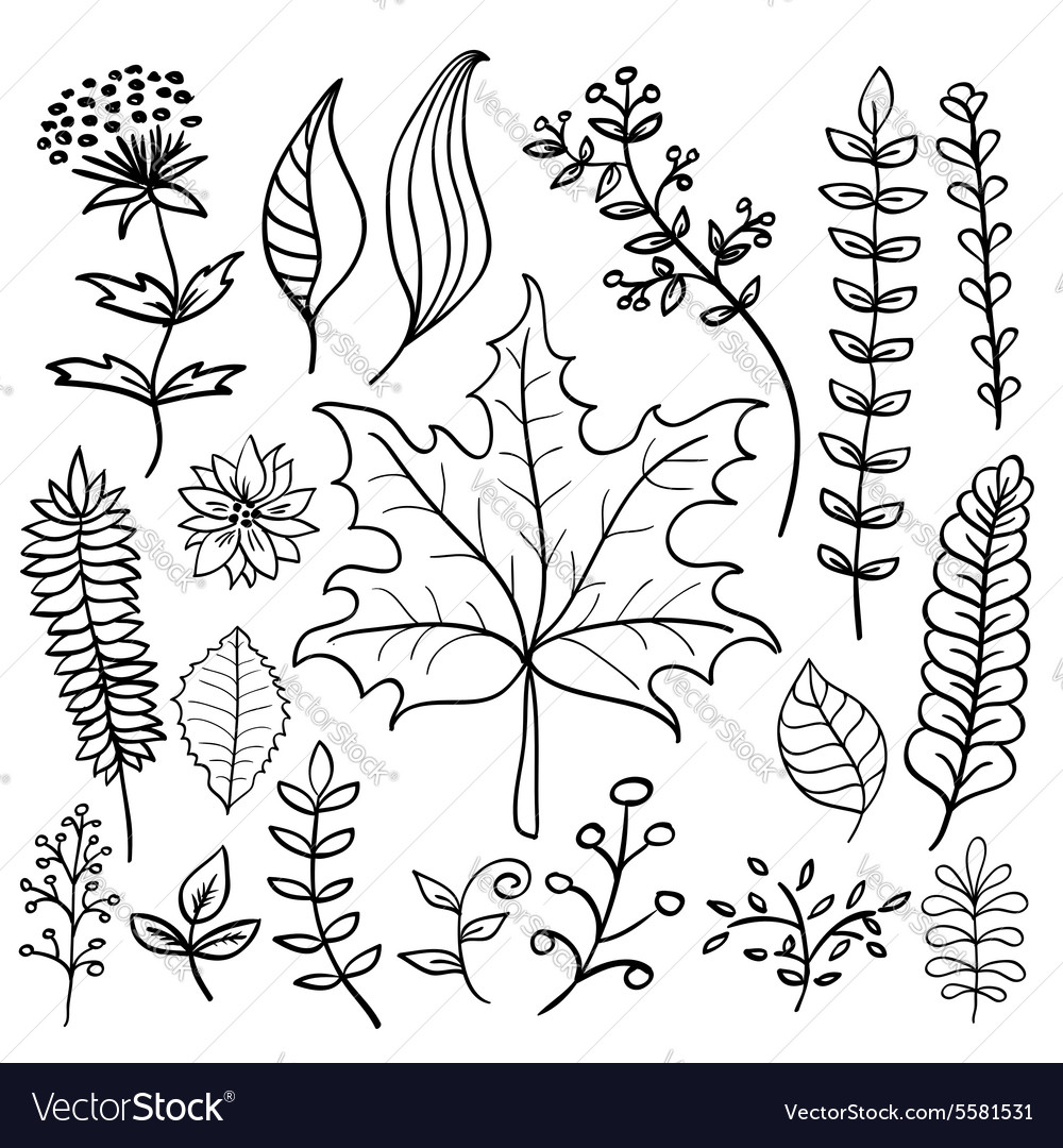 Hand Drawn Doodle Leaves Set Royalty Free Vector Image