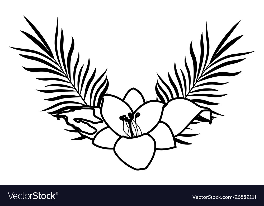 Tropical Flower And Palm Leaves In Black White Vector Image