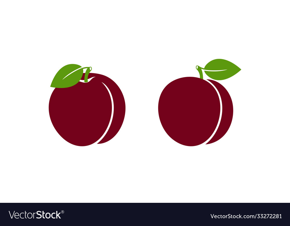 Plum Royalty Free Vector Image Vectorstock