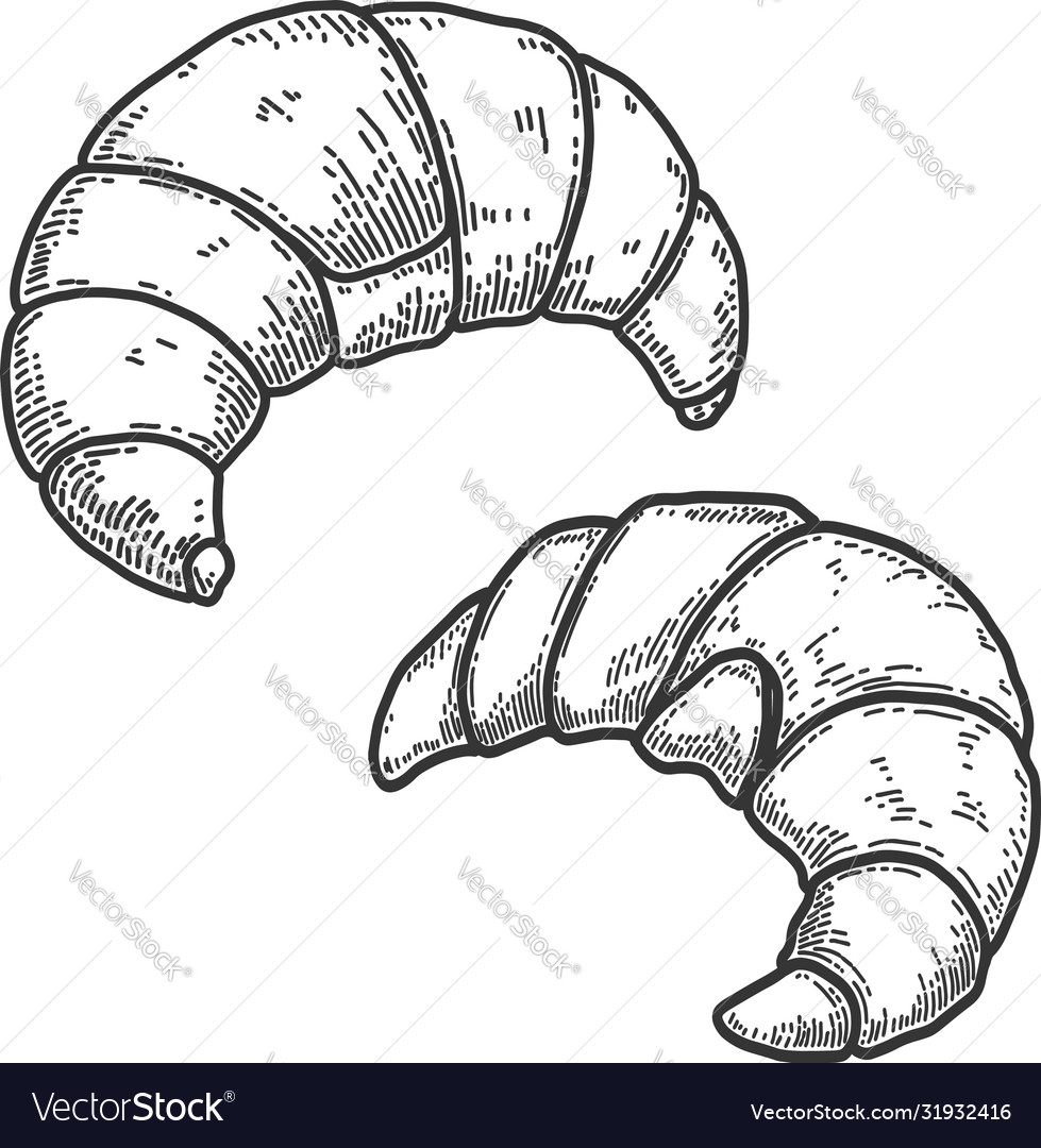 Set Croissants In Engraving Style Design Vector Image