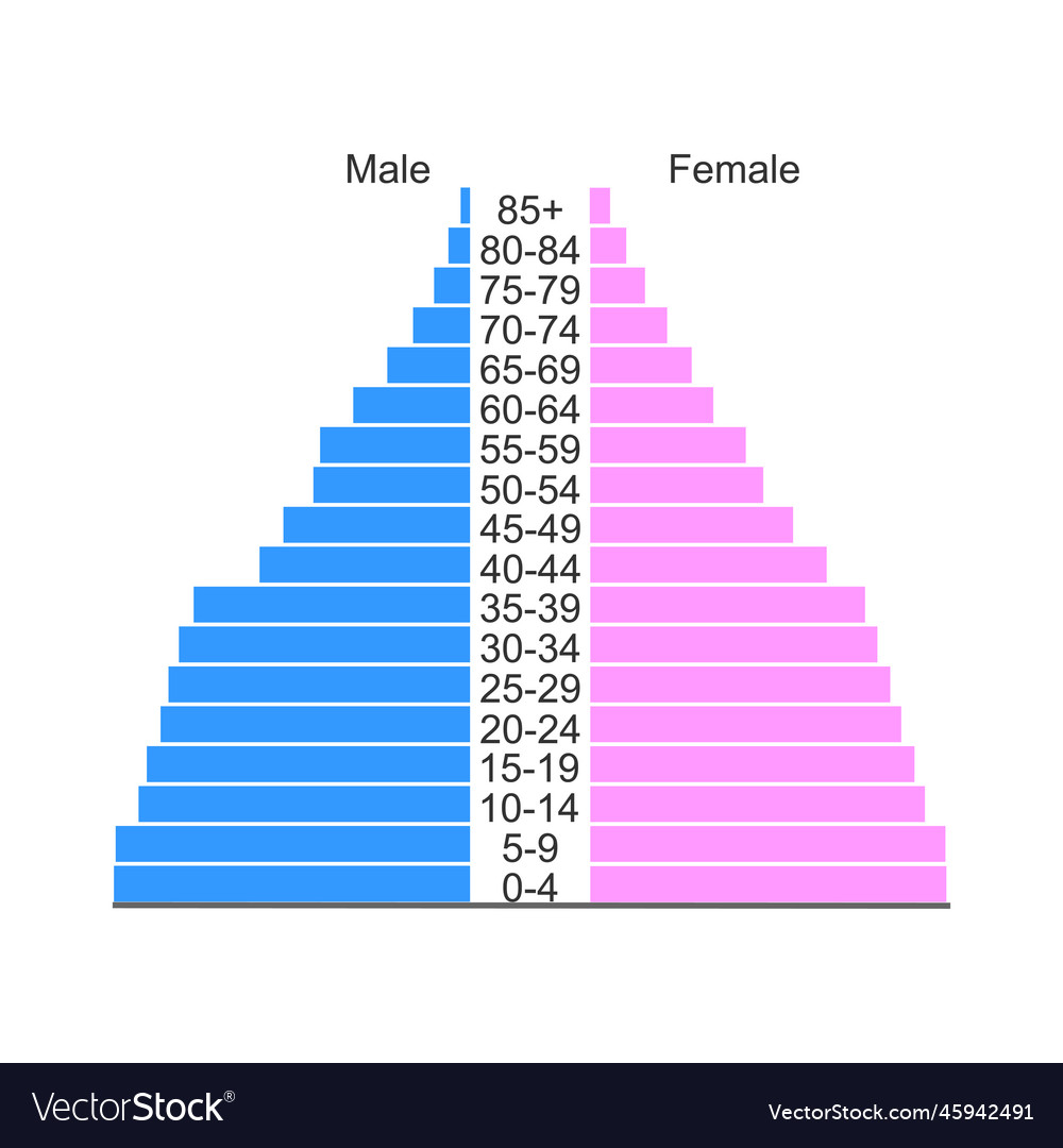 population-pyramid-or-age-structure-diagram-vector-image-101080-hot