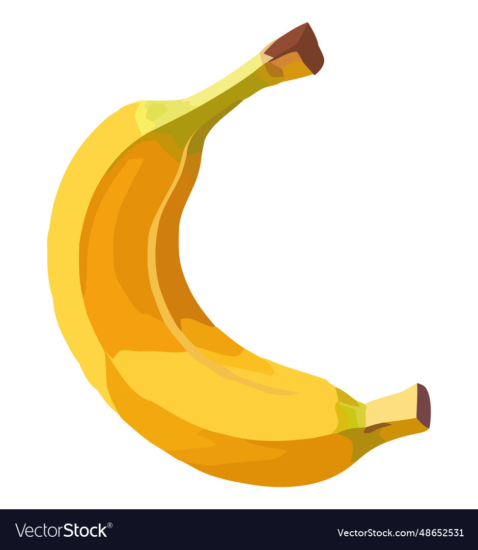 Fresh Organic Banana Royalty Free Vector Image