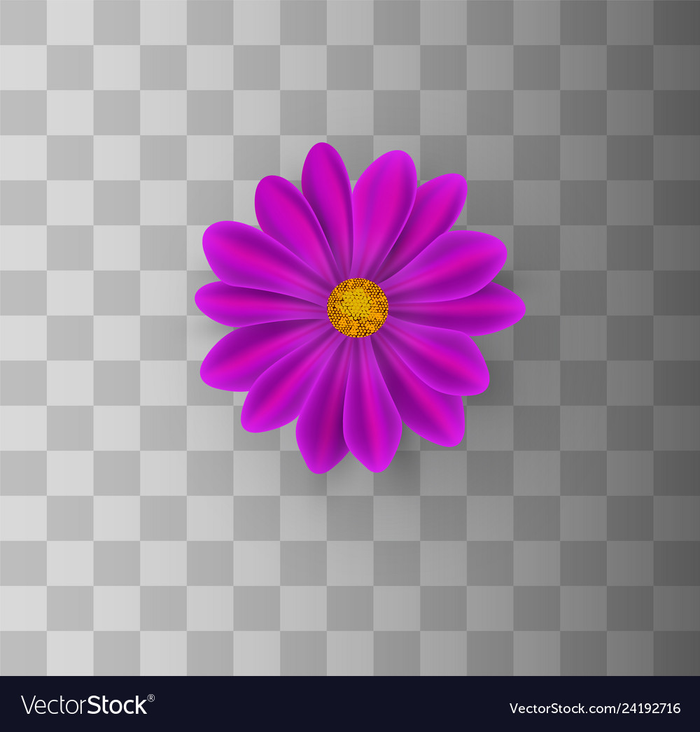 Flowers On A Transparent Royalty Free Vector Image