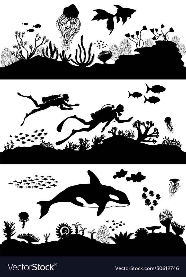 Silhouette Sea Coral Reef Oceanic Diving Set Vector Image