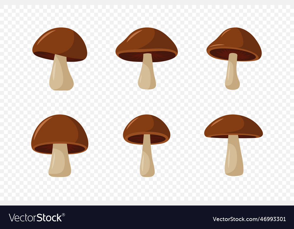 Hand Drawn Cartoon Flat Mushroom Icon Set Vector Image