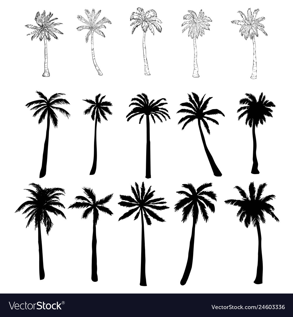 Set Of Silhouettes Palm Trees Different Royalty Free Vector