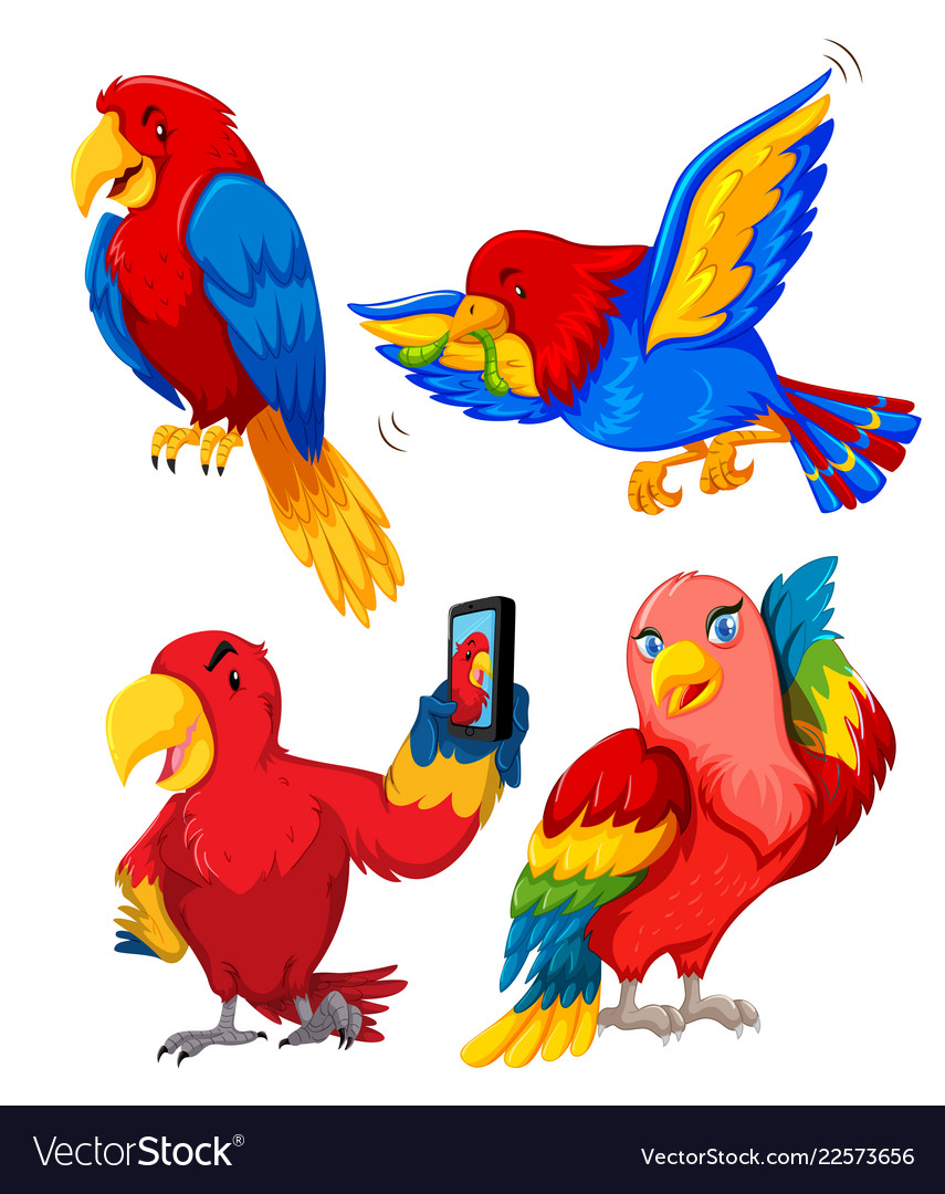 Set Of Parrot Character Royalty Free Vector Image