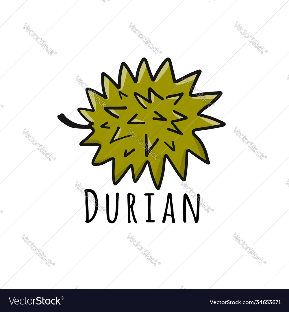 Durian Sketch For Your Design Royalty Free Vector Image