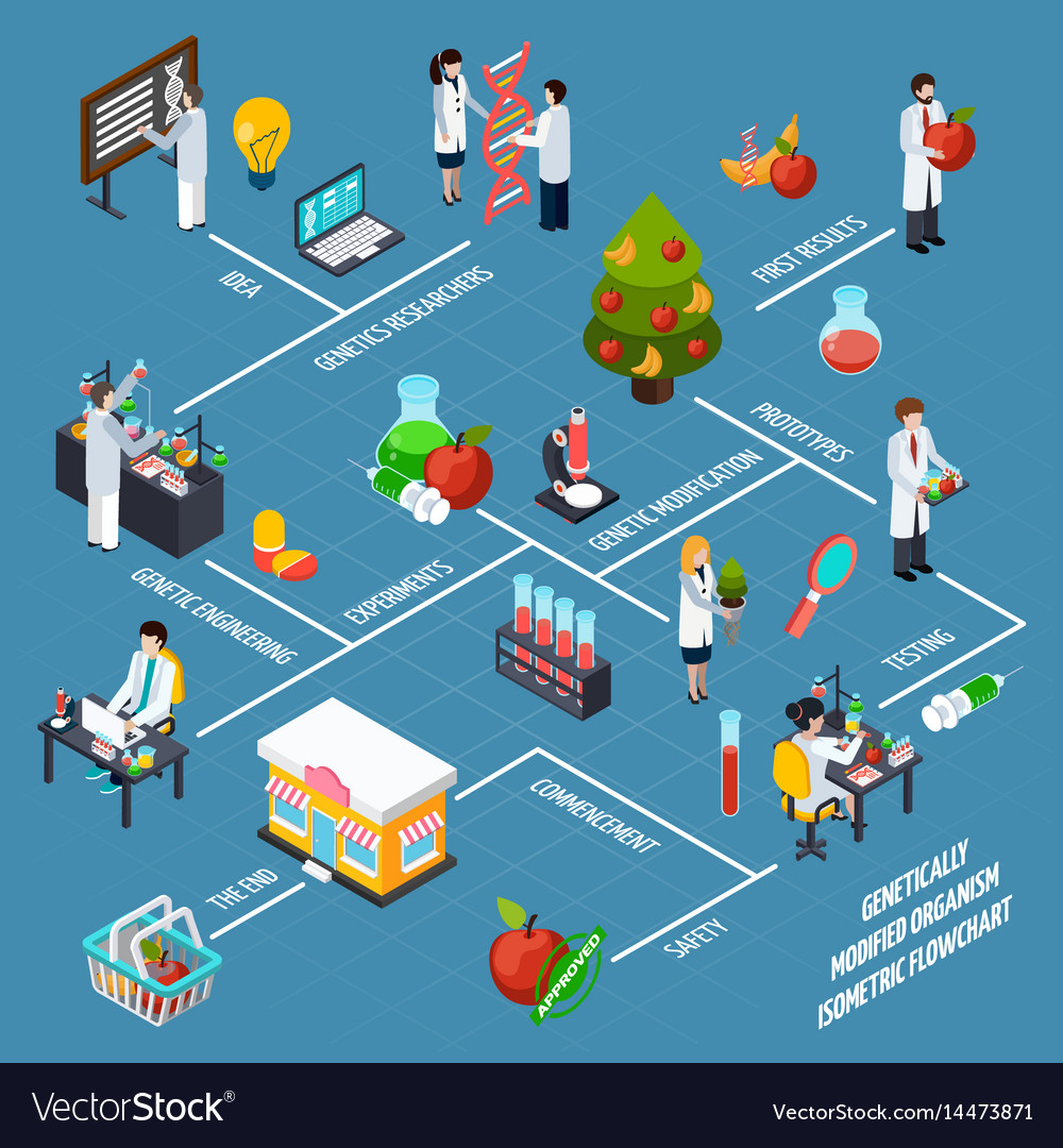 Gmo Isometric Flowchart Cartoon Vector Cartoondealer The Best Porn