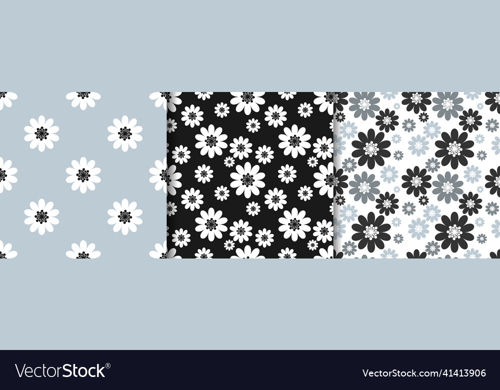 Set Of Cute Seamless Pattern White Daisies Vector Image