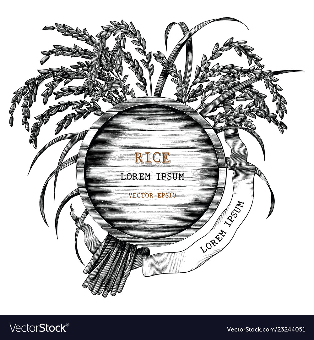 Rice Concept Logo Hand Draw Vintage Engraving Vector Image