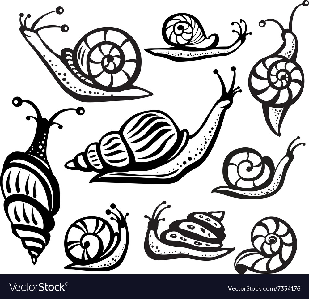 Set Black And White Snails Royalty Free Vector Image