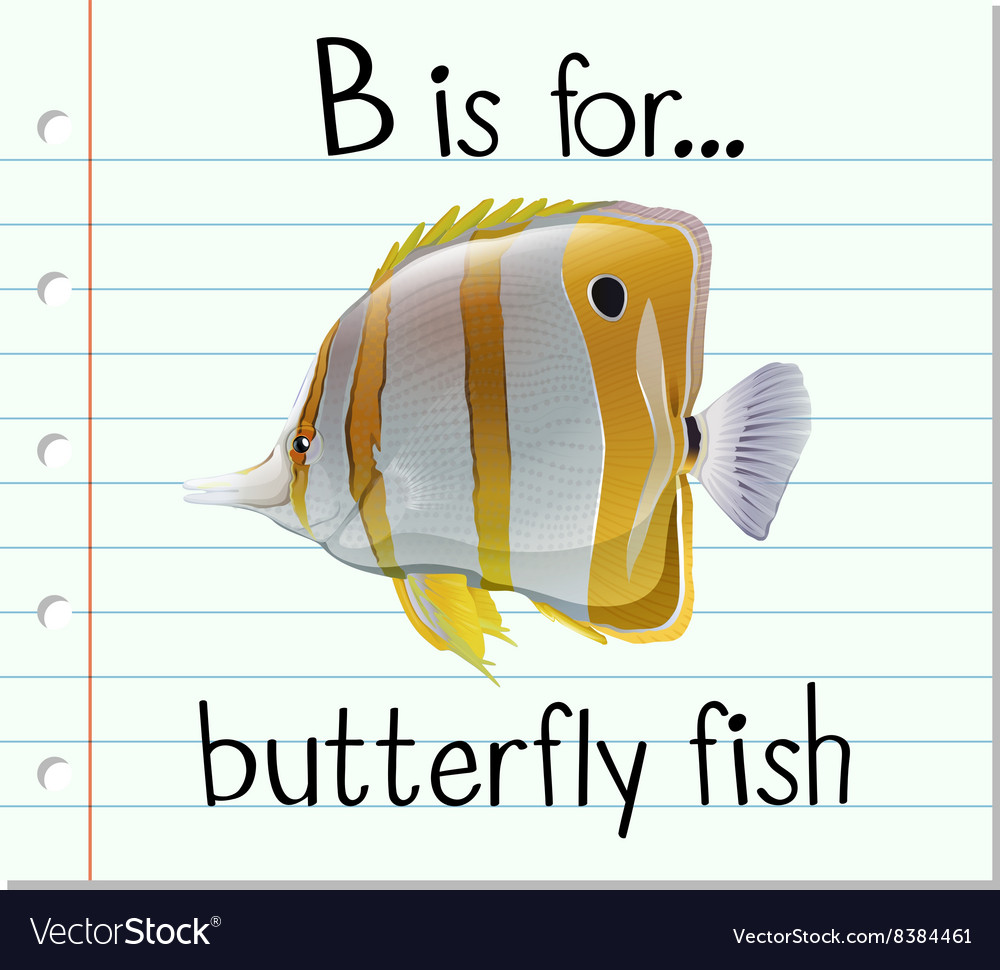 Flashcard Letter B Is For Butterfly Fish Vector Image