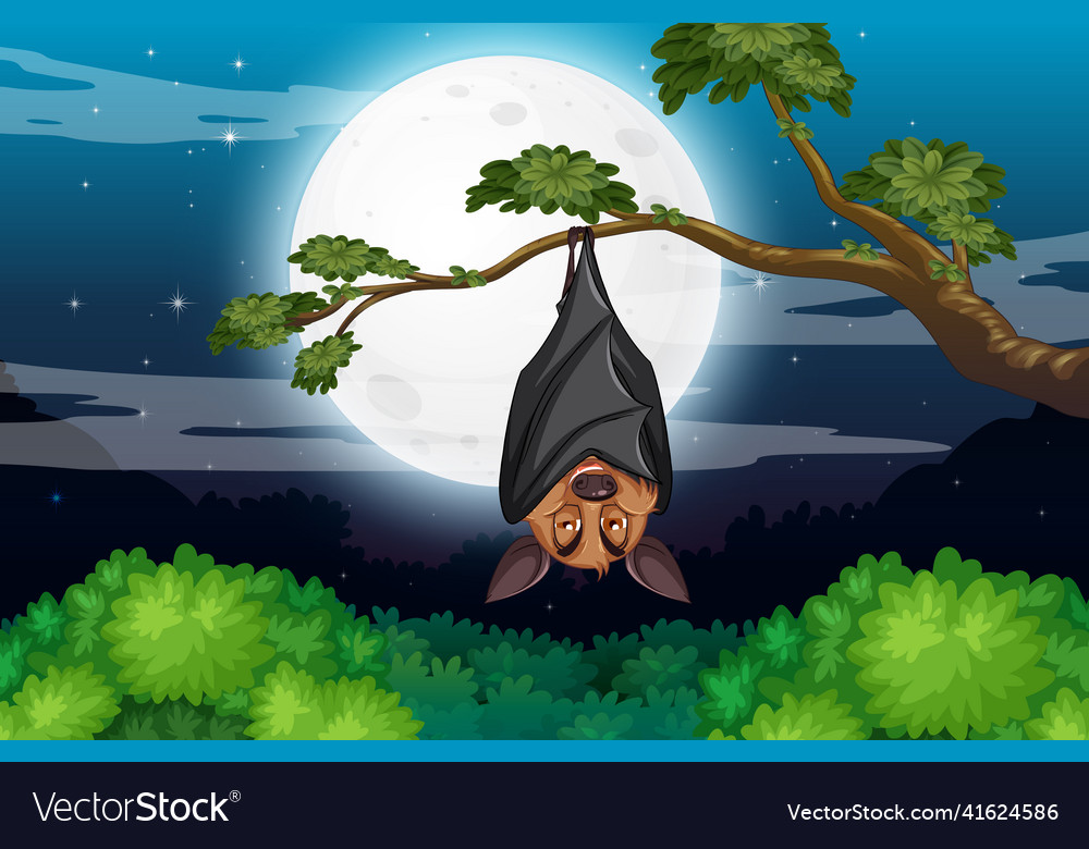 A Bat Hanging On Tree At Night Scene Royalty Free Vector