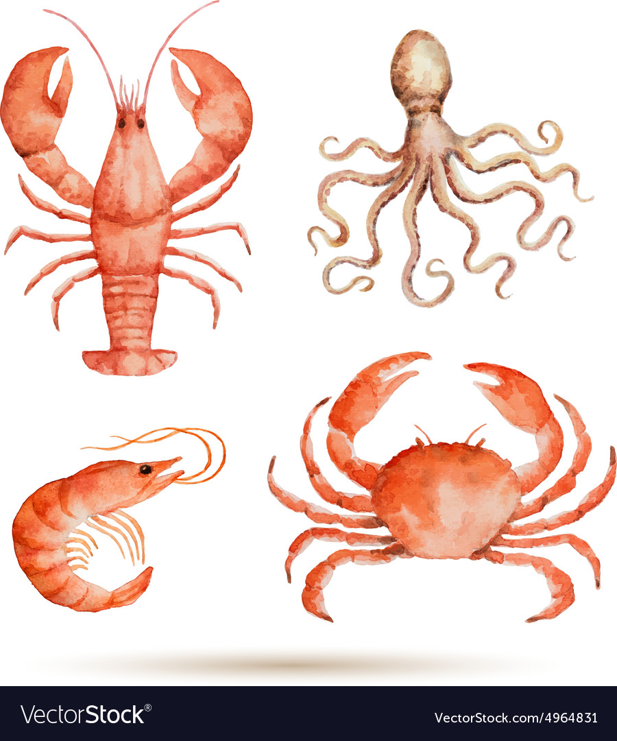 Watercolor Set Of Seafood Royalty Free Vector Image