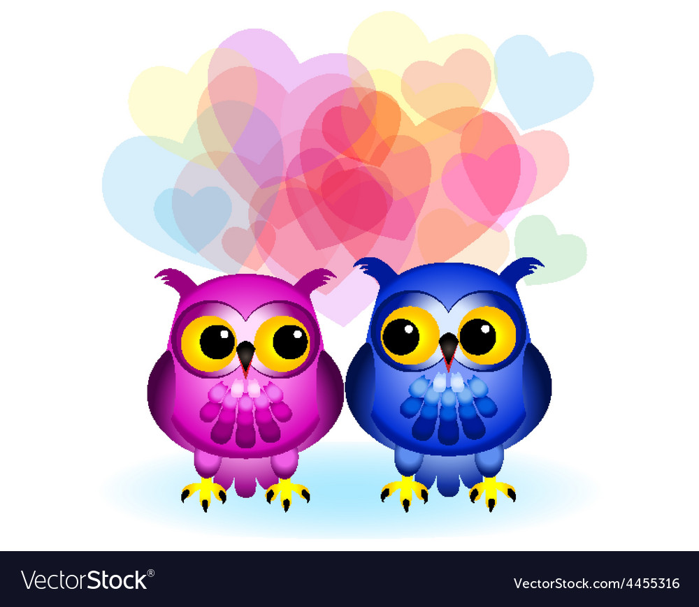 Cartoon Owls In Love On White Royalty Free Vector Image