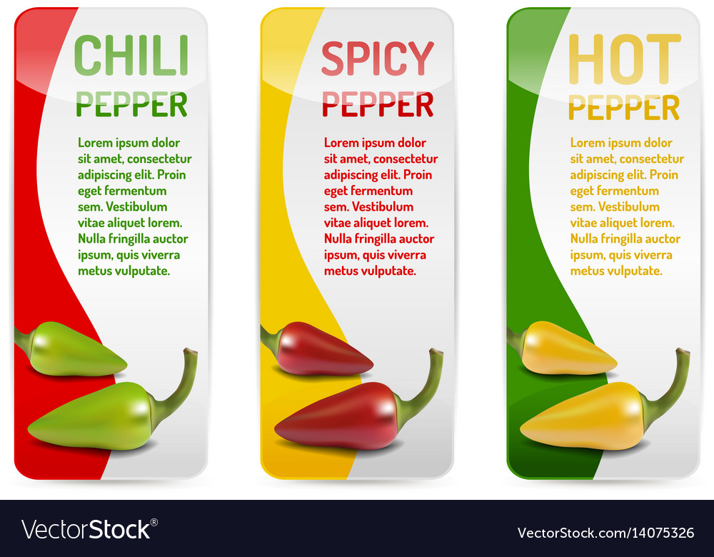 Red Green And Yellow Chili Pepper Banner Vector Image