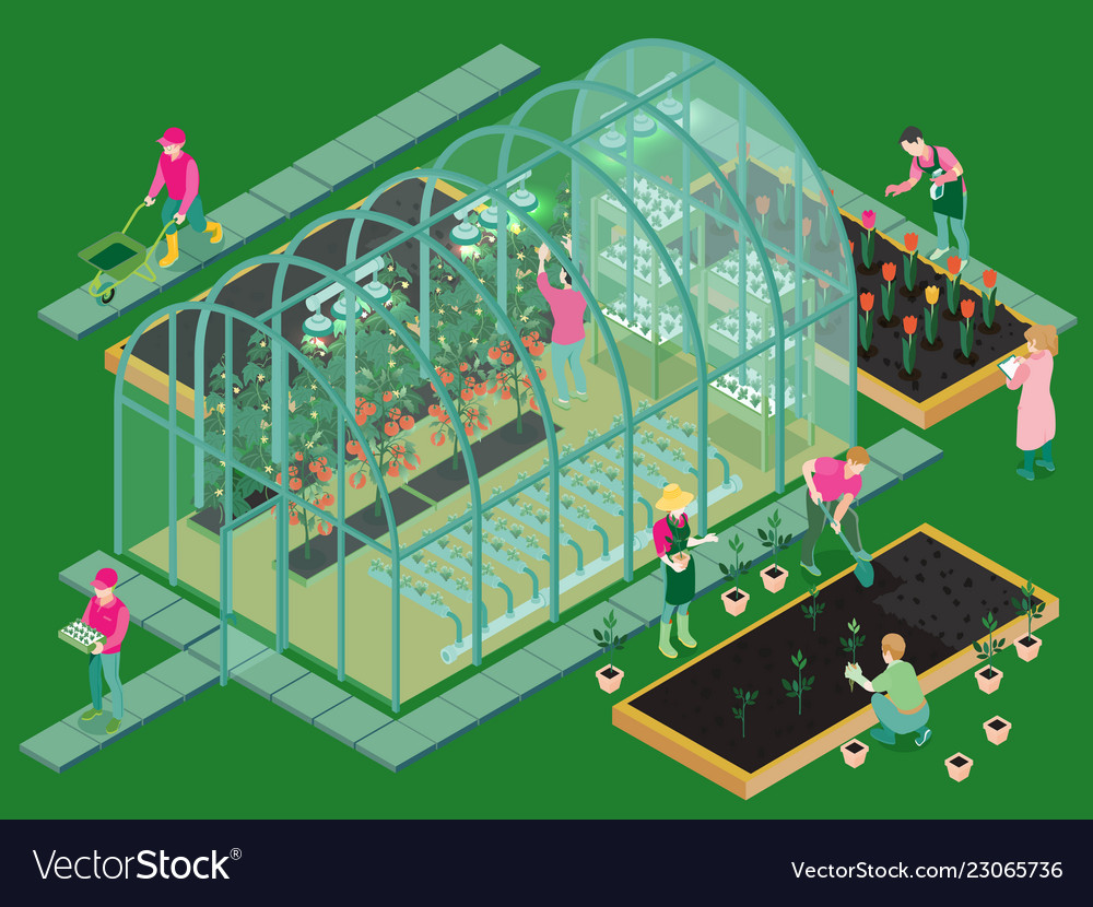 Greenhouse Isometric Composition Royalty Free Vector Image