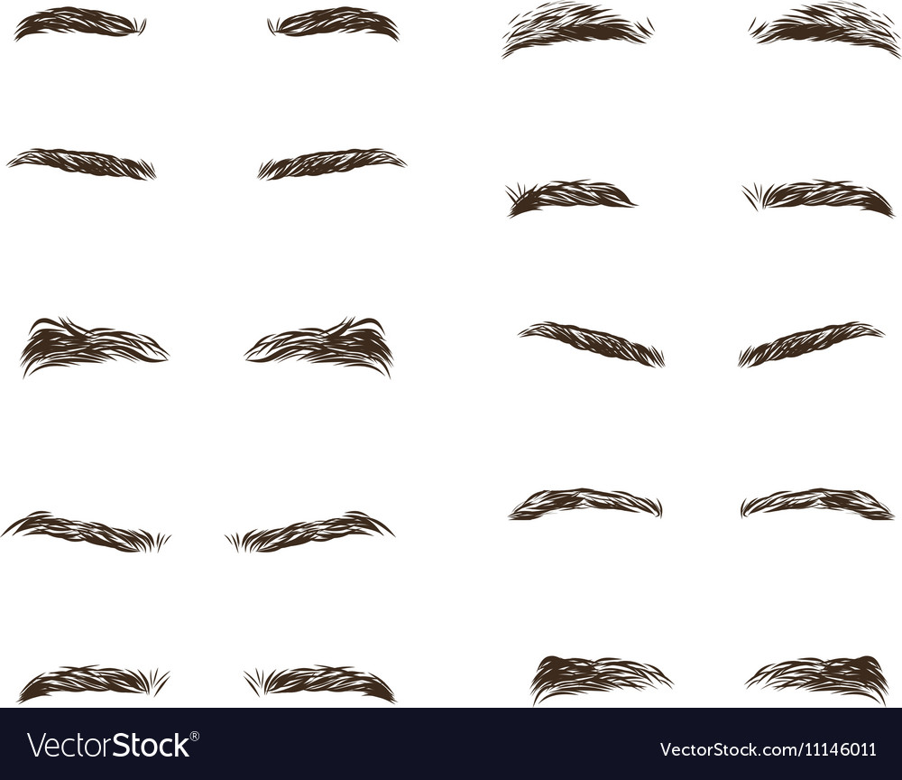 Part Male Person S Eyebrows Royalty Free Vector Image