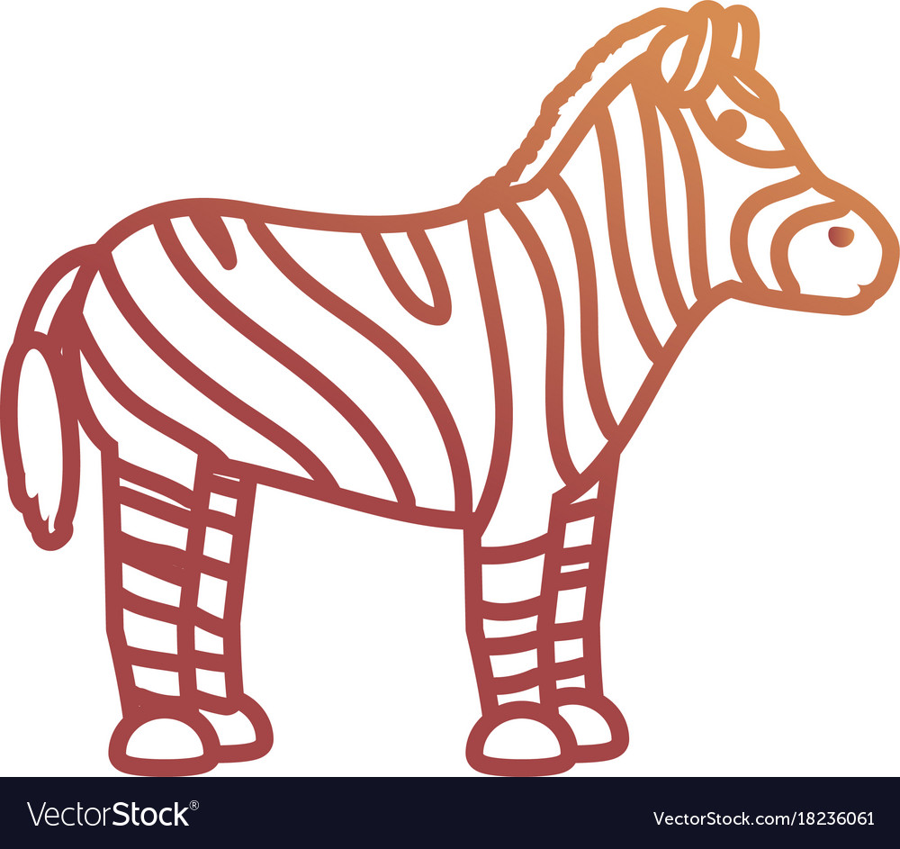 Zebra Royalty Free Vector Image Vectorstock