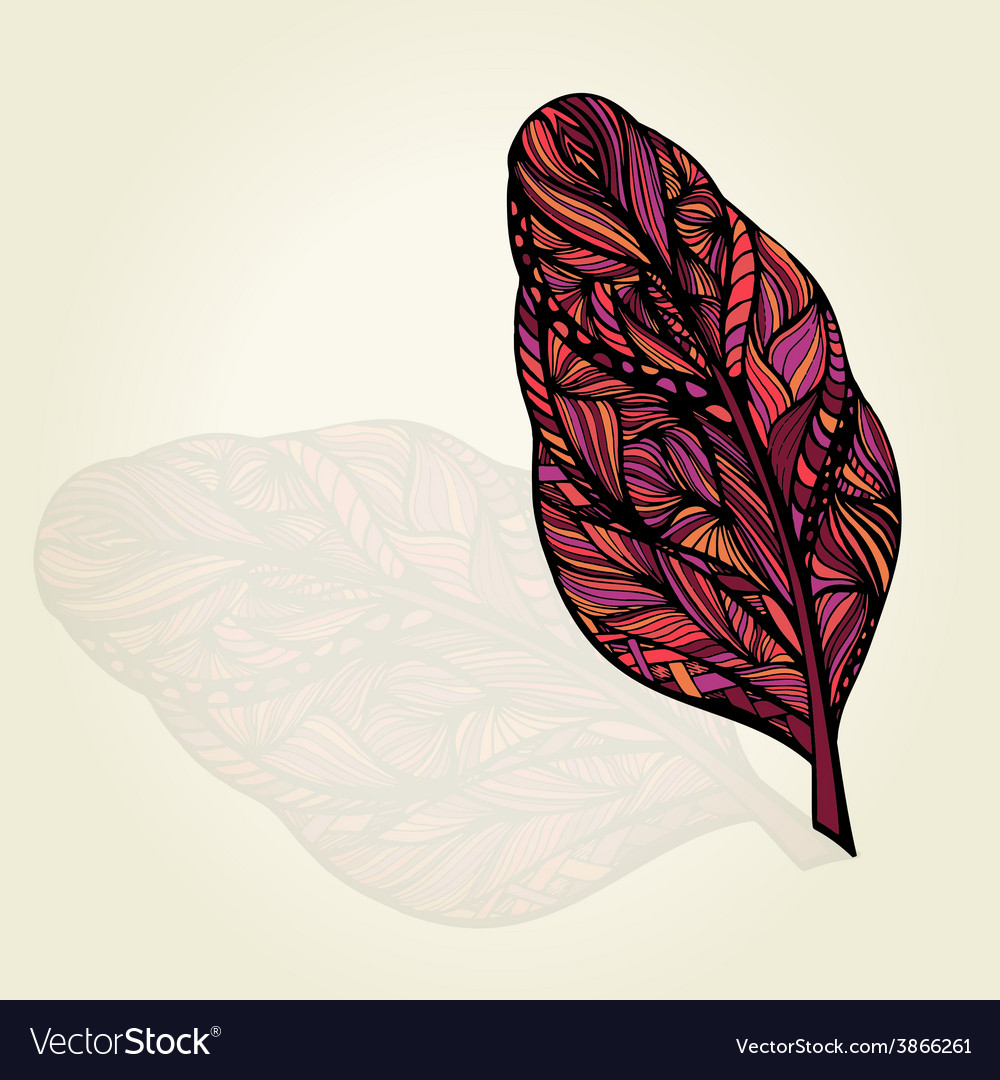 Decorative Feathers Royalty Free Vector Image VectorStock