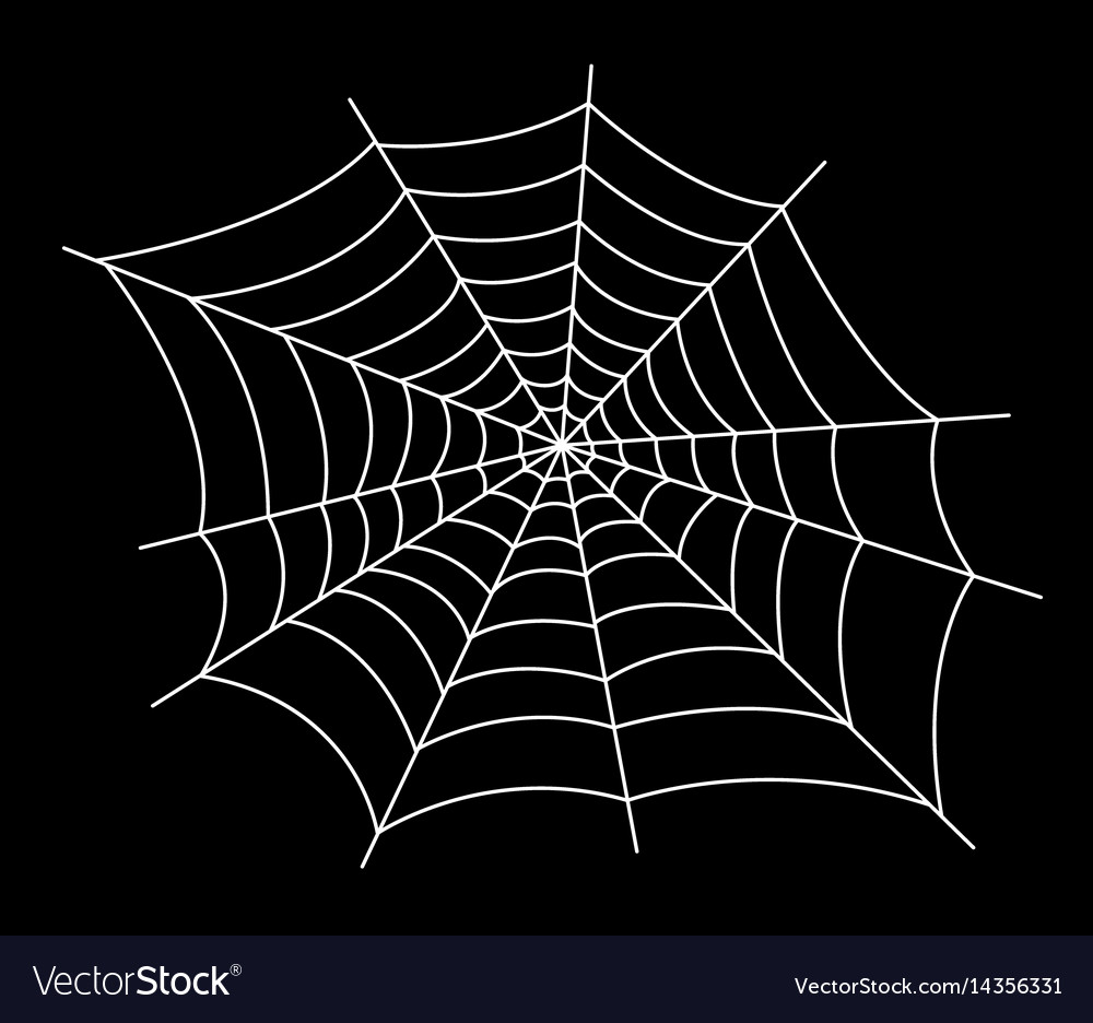 Spider Web Royalty Free Vector Image Vectorstock