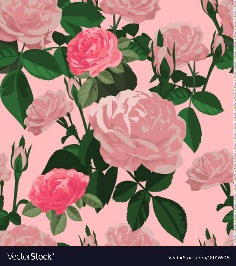 Rose Seamless Pattern Royalty Free Vector Image