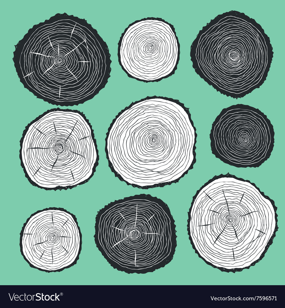 Sketch Cut Wood Royalty Free Vector Image VectorStock