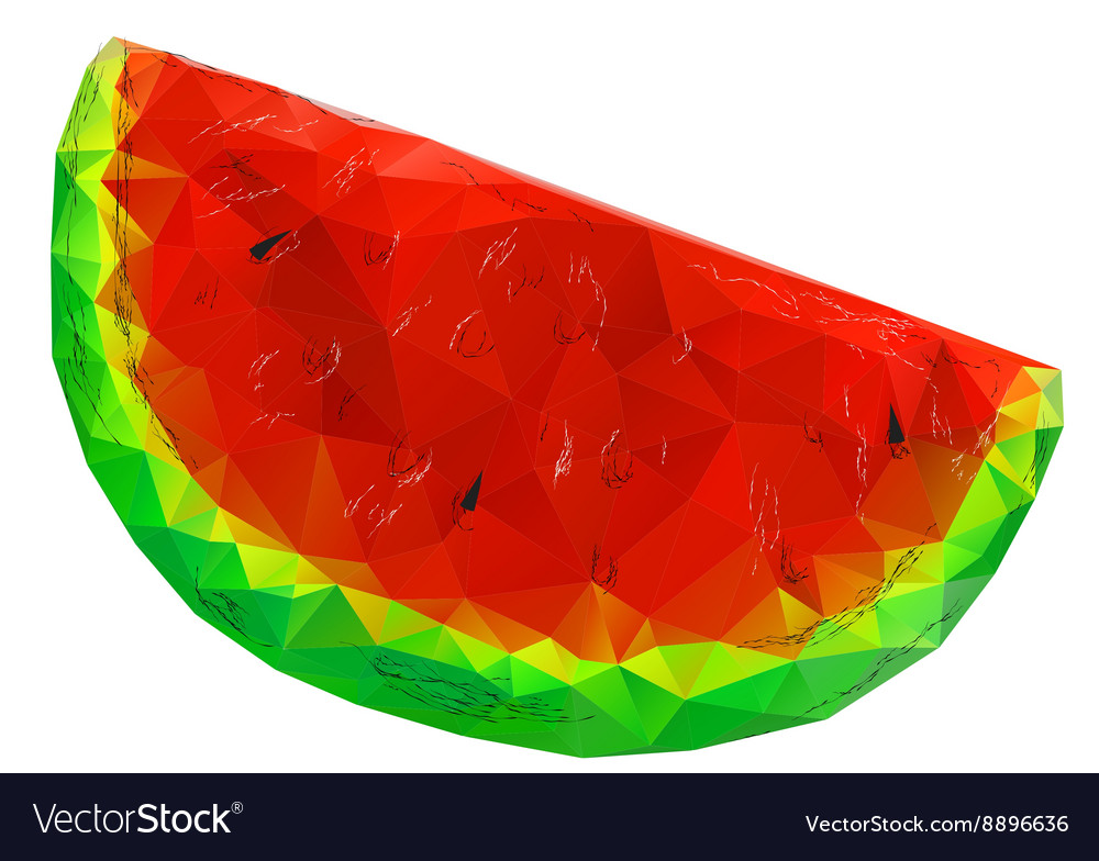 Abstract Watermelon Royalty Free Vector Image VectorStock