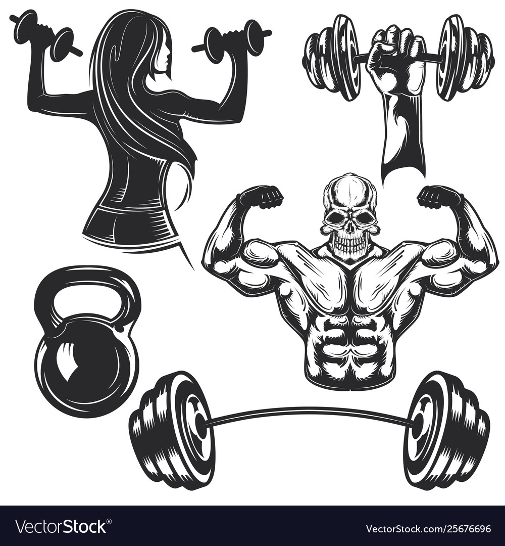 Set Gym Elements For Creating Your Own Badges Vector Image