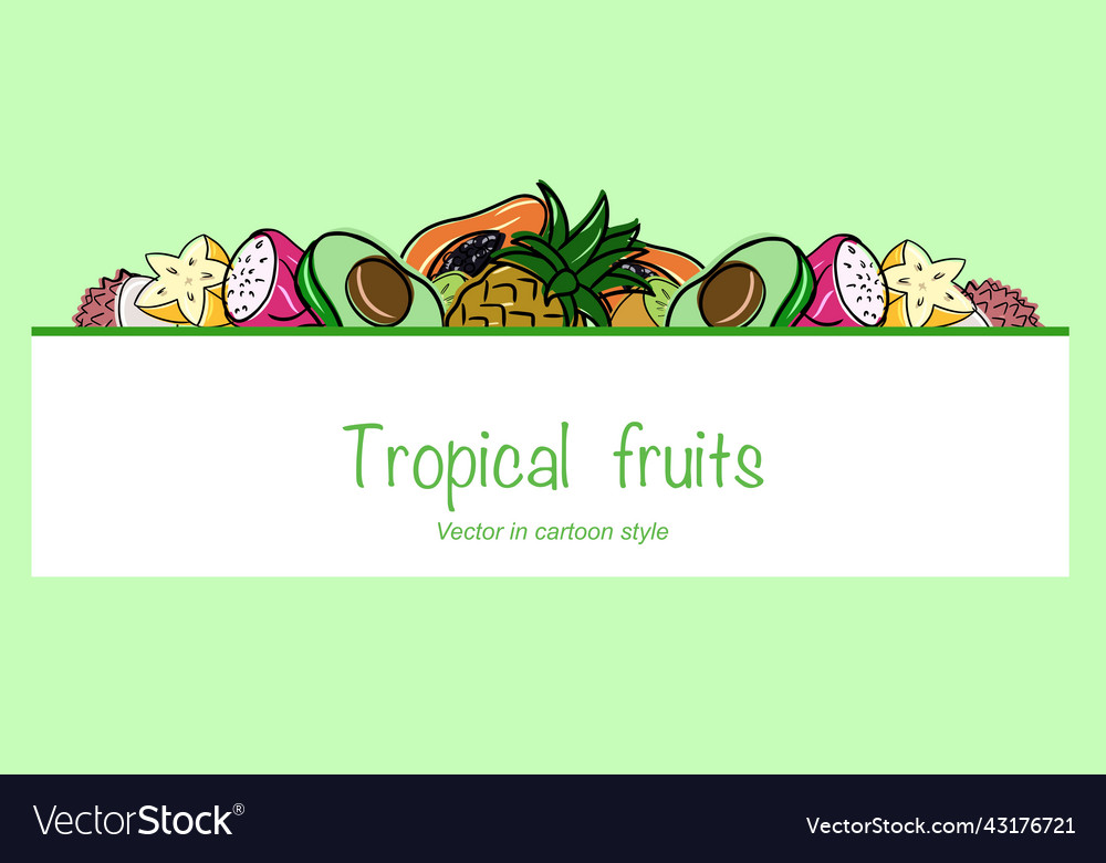 Tropical Fruits Horizontal Banner Copy Space Vector Image