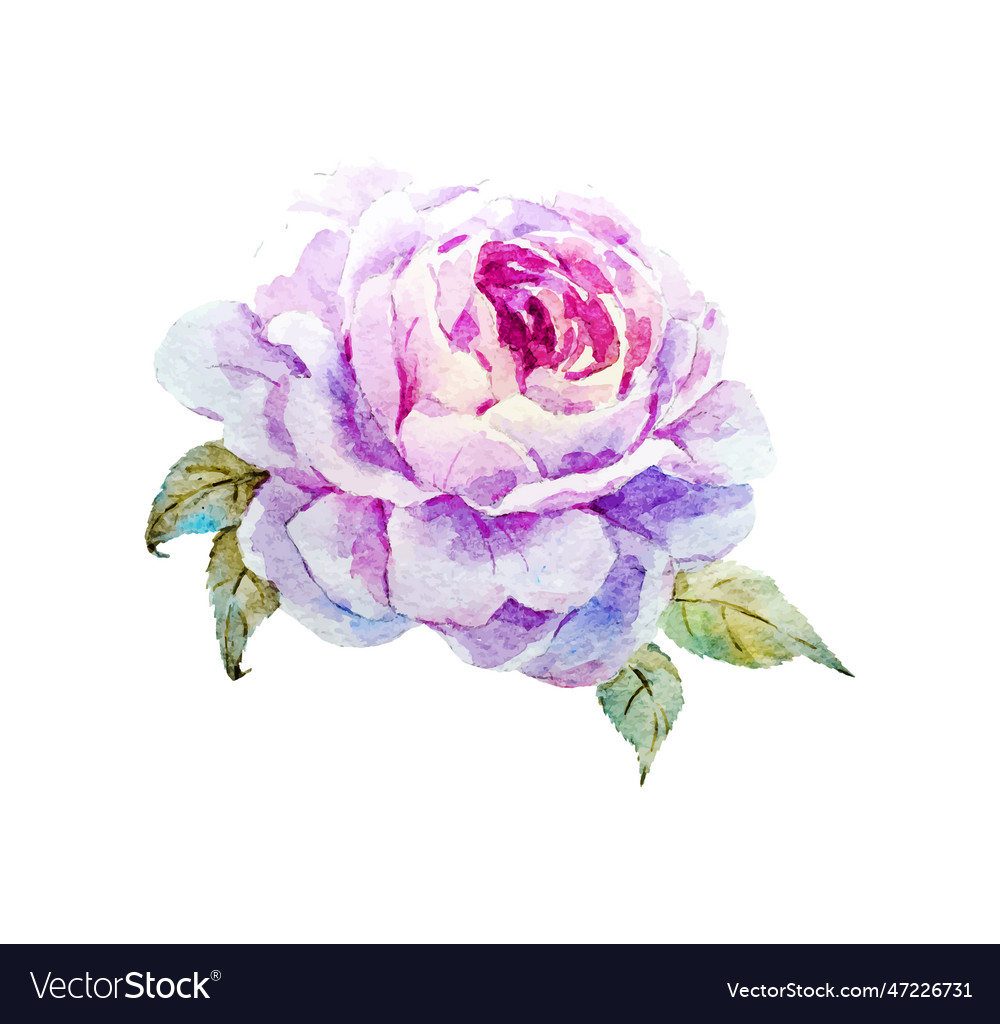 Watercolor Bouquet Royalty Free Vector Image Vectorstock