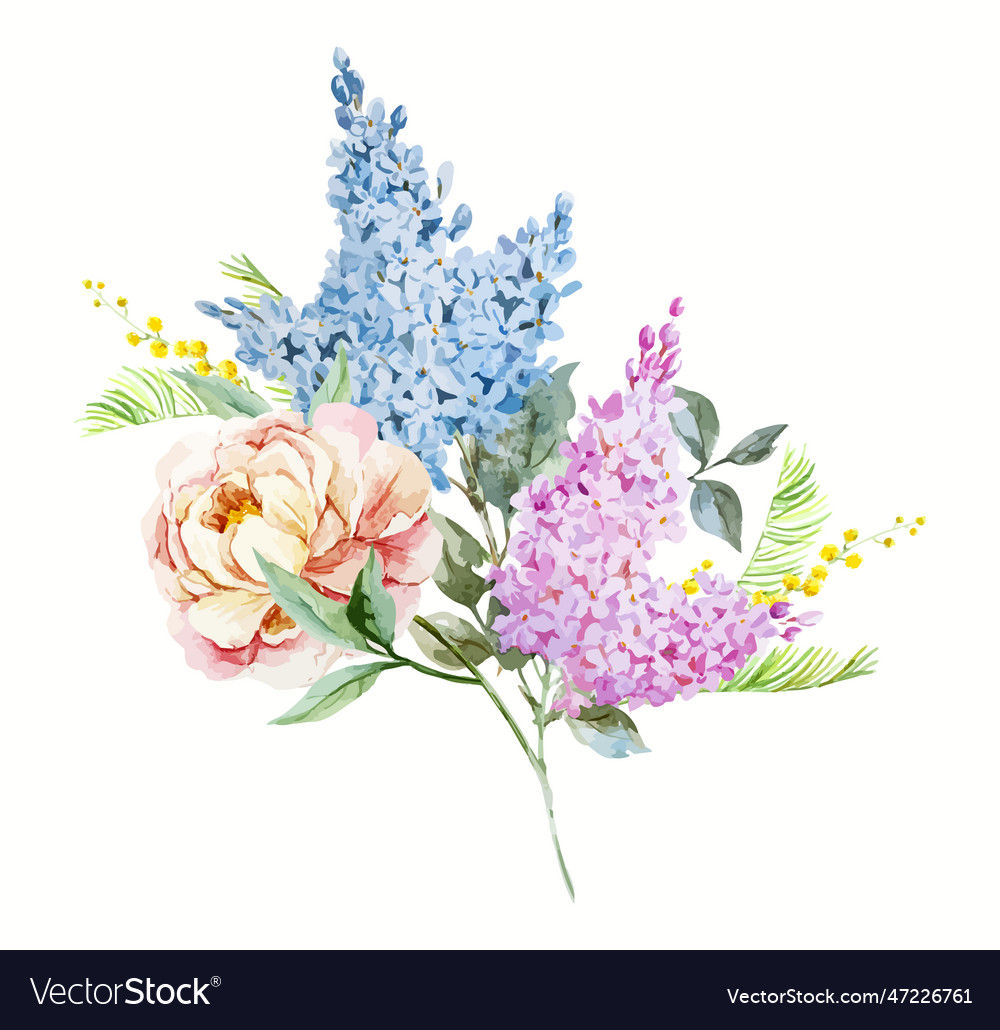 Watercolor Bouquet Royalty Free Vector Image Vectorstock