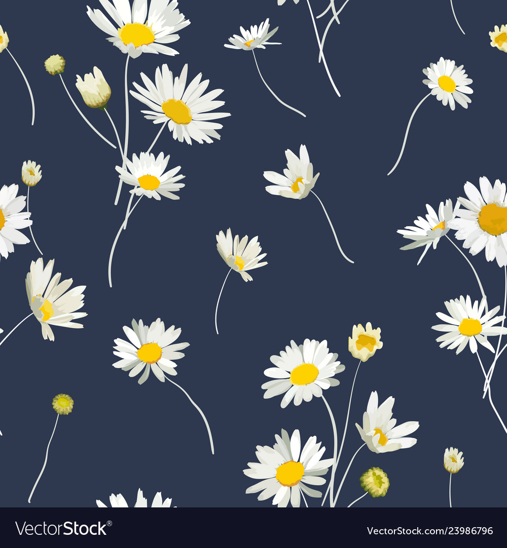 Floral Seamless Pattern With Chamomile Flowers Vector Image