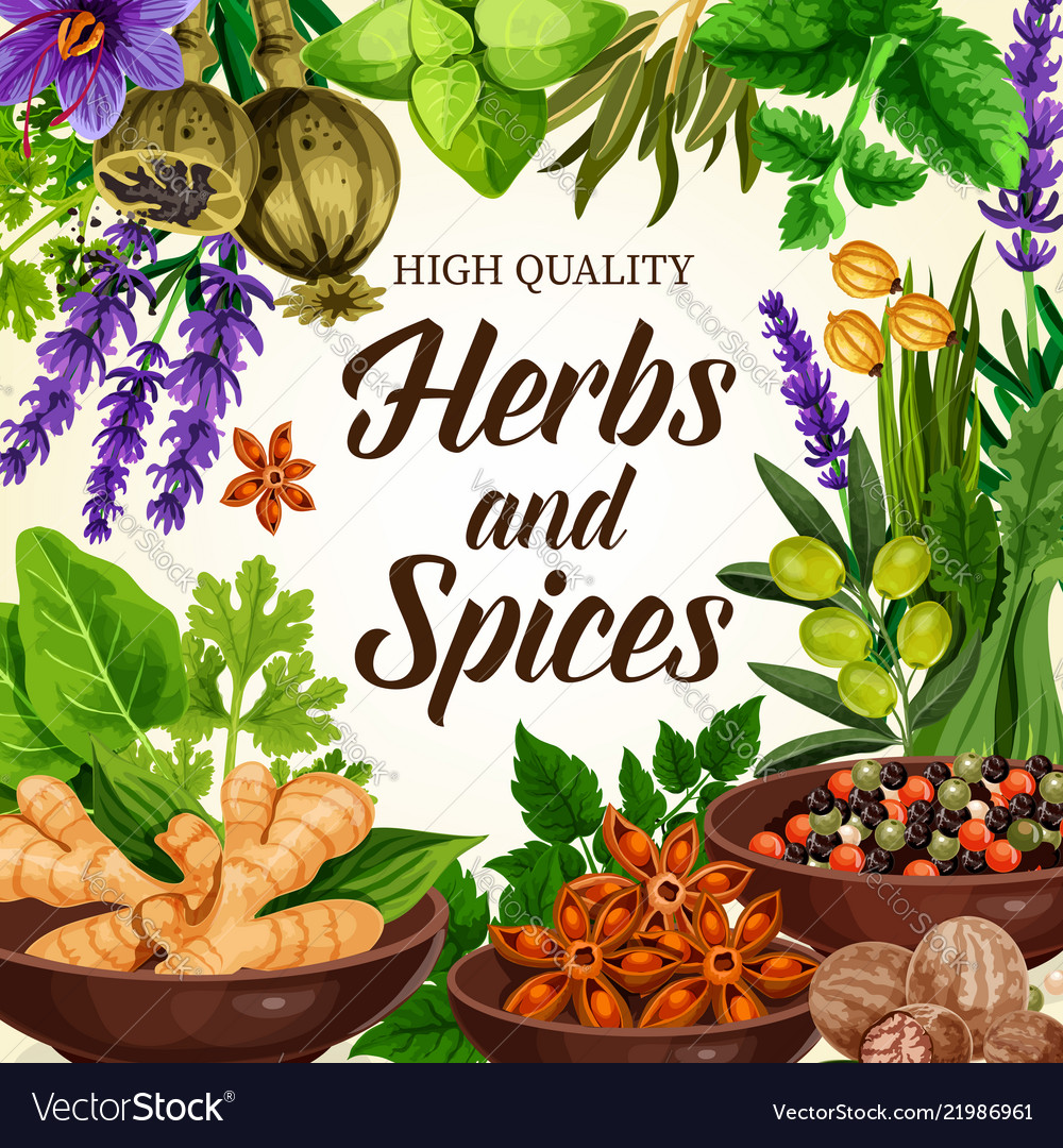 Seasoning Spices Herbs And Condiments Royalty Free Vector