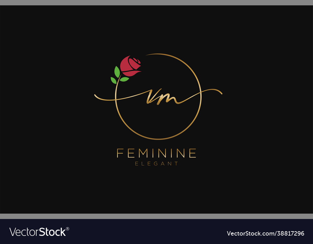 Initial Vm Feminine Logo Beauty Monogram Vector Image