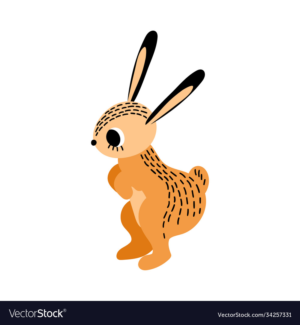 Cute Cartoon Rabbit Standing On His Hind Legs Vector Image