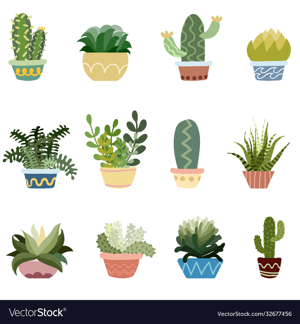 Cactus In Pots Set Royalty Free Vector Image Vectorstock